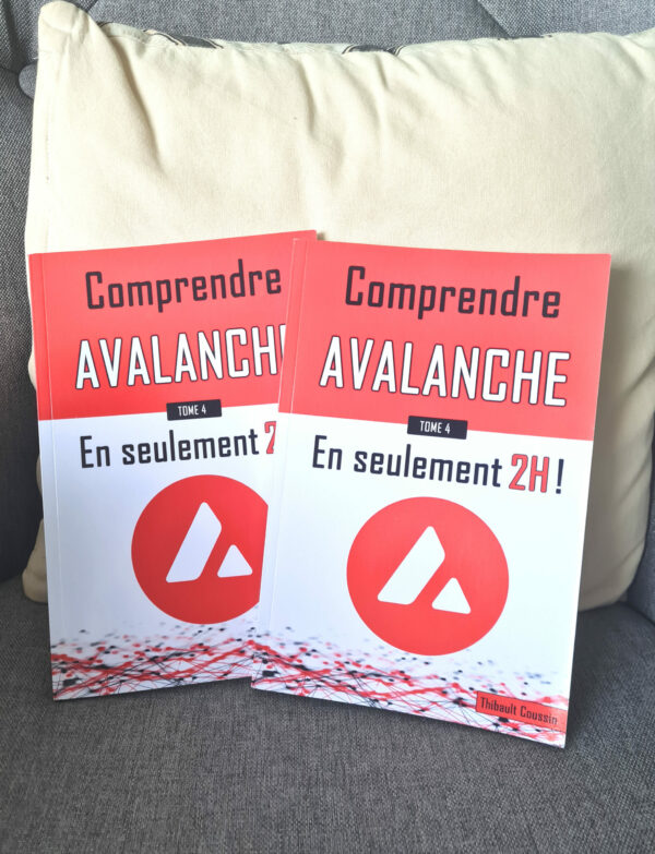 Comprendre Avalanche en seulement 2h ! (Couleur) – Image 3